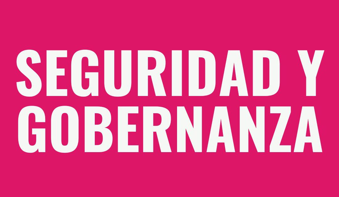 Seguridad y gobernanza