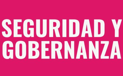 Seguridad y gobernanza