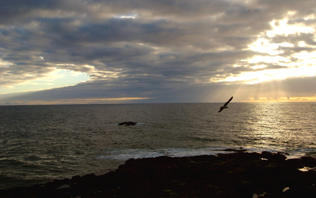 Atardecer en la costa del municipio