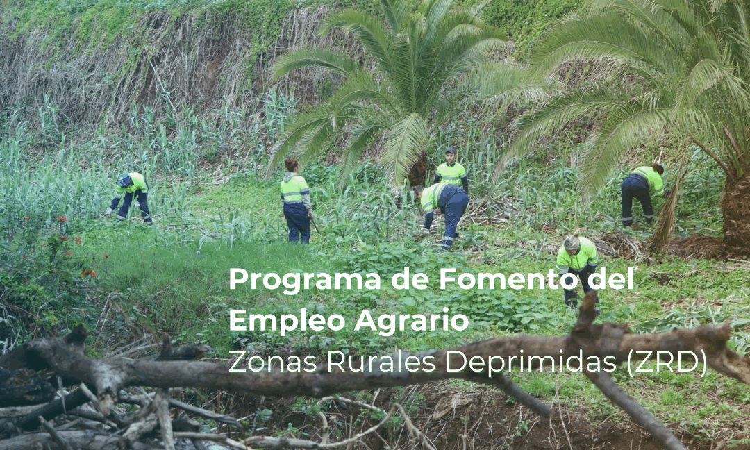 Impulsando el empleo rural: Comienza en Tacoronte el Programa ZRD 2025