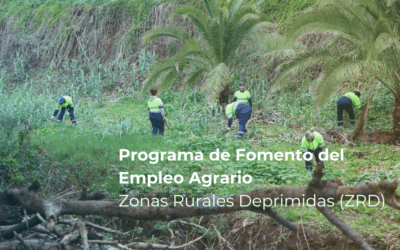 Impulsando el empleo rural: Comienza en Tacoronte el Programa ZRD 2025