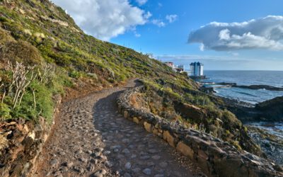Los «vecinos invisibles» que cuidan de Tacoronte: la biodiversidad local protagoniza el Día Mundial del Medio Ambiente