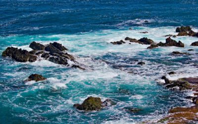 Tacoronte celebra el Día Mundial de los Océanos poniendo en valor el impacto invisible del Atlántico en el municipio