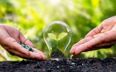 Día Internacional de la Educación Ambiental